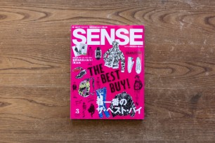 SENSE 2015 March